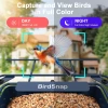 BirdSnap APS - Kameralı Güneş Panelli Metal Kuş Yemliği 2K HD - Beyaz/Mavi