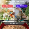 BirdSnap APS - Kameralı Güneş Panelli Metal Kuş Yemliği 2K HD - Kırmızı