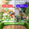 BirdSnap APS - Kameralı Güneş Panelli Metal Kuş Yemliği 2K HD - Sarı/Yeşil