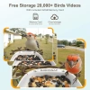 BirdSnap P33 - Güneş Enerjili 2K Video Canlı Kuş Kamerası Yemliği - Kahverengi