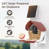 BirdSnap P33 - Güneş Enerjili 2K Video Canlı Kuş Kamerası Yemliği - Kırmızı