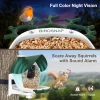 BirdSnap P33 - Güneş Enerjili 2K Video Canlı Kuş Kamerası Yemliği - Koyu Yeşil