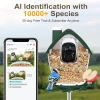 BirdSnap P33 - Güneş Enerjili 2K Video Canlı Kuş Kamerası Yemliği - Koyu Yeşil