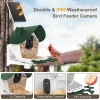 BirdSnap P33 - Güneş Enerjili 2K Video Canlı Kuş Kamerası Yemliği - Koyu Yeşil