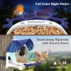 BirdSnap P33 - Güneş Enerjili 2K Video Canlı Kuş Kamerası Yemliği - Mavi