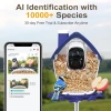 BirdSnap P33 - Güneş Enerjili 2K Video Canlı Kuş Kamerası Yemliği - Mavi