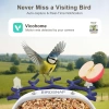BirdSnap P33 - Güneş Enerjili 2K Video Canlı Kuş Kamerası Yemliği - Mavi