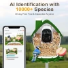BirdSnap P33 - Güneş Enerjili 2K Video Canlı Kuş Kamerası Yemliği - Yeşil