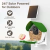 BirdSnap P33 - Güneş Enerjili 2K Video Canlı Kuş Kamerası Yemliği - Yeşil