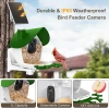BirdSnap P33 - Güneş Enerjili 2K Video Canlı Kuş Kamerası Yemliği - Yeşil
