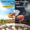 BirdSnap PAV - Akıllı Kuş Yemliği, Güneş Enerjili Kamera 2K HD - Kırmızı