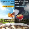 BirdSnap PAV - Akıllı Kuş Yemliği, Güneş Enerjili Kamera 2K HD - Koyu Kahverengi