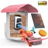 BirdSnap PAV - Akıllı Kuş Yemliği, Güneş Enerjili Kamera 2K HD - Pembe