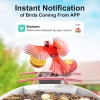 BirdSnap PAV - Akıllı Kuş Yemliği, Güneş Enerjili Kamera 2K HD - Pembe