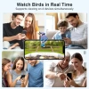 BirdSnap PAV - Akıllı Kuş Yemliği, Güneş Enerjili Kamera 2K HD - Açık Kahverengi