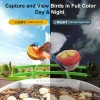 BirdSnap PAV - Akıllı Kuş Yemliği, Güneş Enerjili Kamera 2K HD - Yeşil