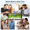 BirdSnap PAV - Akıllı Kuş Yemliği, Güneş Enerjili Kamera 2K HD - Yeşil