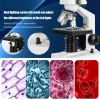Bogrinuo Çift LED Aydınlatma Güçlü Eğitim Biyomikroskopu Trinocular electron microscope