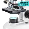 Bogrinuo Binoküler LED Aydınlatma Mikroskobu Binocular