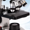 Bogrinuo Binoküler LED Aydınlatma Mikroskobu binocular four-hole microscope