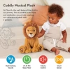 Cloud b Sevimli Doldurulmuş Hayvan ve Göçebe Gece Lambası  Nighty Night Owl Smart Sensor