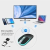 Dancesoul Deri Düğmeli Kablosuz Mouse, RGB Renkli Işıklı LED - Siyah