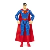 DC Comics Eylem Figürleri Spin Master