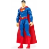 DC Comics Eylem Figürleri Spin Master