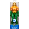 DC Comics Eylem Figürleri Spin Master