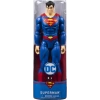 DC Comics Eylem Figürleri Spin Master
