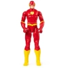 DC Comics Eylem Figürleri Spin Master