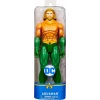 DC Comics Eylem Figürleri Spin Master