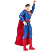 DC Comics Eylem Figürleri Spin Master