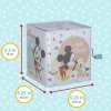Disney Baby Minnie Mouse Jack-in-The-Box - Bebekler için Müzikli Oyuncak