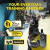 Dogtra 200iQ Uzaktan Eğitim E-Tasması 4,5+ Kg Köpekler - Gri