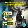 Dogtra 200iQ Uzaktan Eğitim E-Tasması 4,5+ Kg Köpekler - Turkuaz
