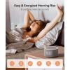 Dreamegg D1 Pro Beyaz Gürültü Ses Makinesi Grey