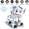 Fisca Uzaktan Kumandalı Robotik Köpek