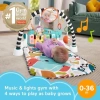 Fisher-Price Bebek Aktivite Matı