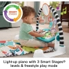 Fisher-Price Bebek Aktivite Matı
