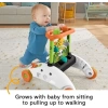 Fisher-Price Bebek ve Küçük Çocuk Oyuncak 2 Taraflı Sabit Hızlı Panda Yürüteç Panda Walker