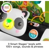 Fisher-Price Bebek ve Küçük Çocuk Oyuncak 2 Taraflı Sabit Hızlı Panda Yürüteç Panda Walker