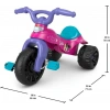 Fisher-Price Hot Wheels Üç Tekerlekli Bisiklet