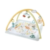 Fisher-Price Simply Senses Yenidoğan Bebek Aktivite Matı Çok Renkll