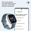 Fitbit Versa 4 Akıllı Saat Waterfall Blue/Platinum