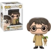 Funko Harry Potter Bitki Bilimi Aksiyon Figürü