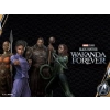 Funko Marvel Black Panther Figürleri