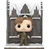 Funko Pop! Deluxe: Harry Potter Remus Lupin Figürü Multicolor