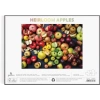 Galison Balkabağı Puzzle