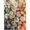 Galison Balkabağı Puzzle